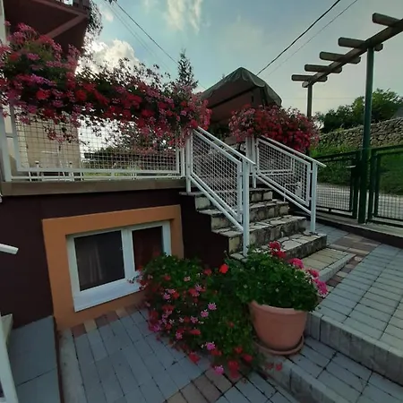 Rózsakert Bed & Breakfast *