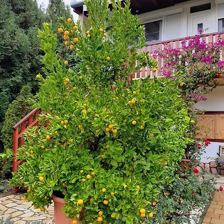 Rózsakert * Szigliget