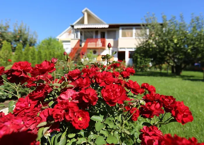 Bed & Breakfast Rozsakert Vendeghaz *