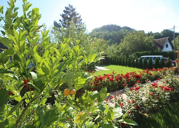 Rozsakert Vendeghaz Szigliget