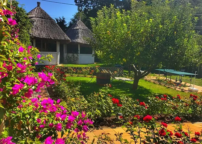 Bed & Breakfast Rozsakert Vendeghaz Szigliget